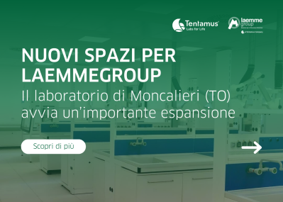 Imag NEWS sito web laemmegroup