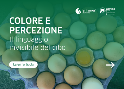 Imag NEWS sito web articolo eurovo