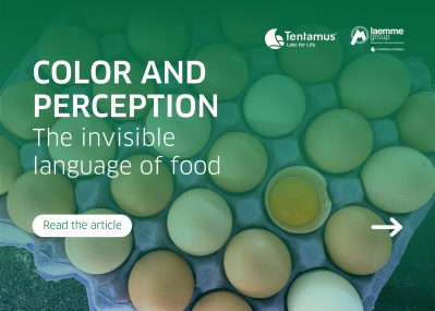 Imag NEWS sito web laemme eng